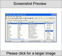 DBF Viewer 2000 Screenshot